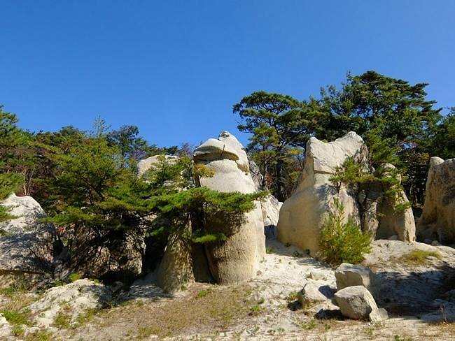 🏞️ 정토송 공원(조도마츠 코엔) 이미지 7